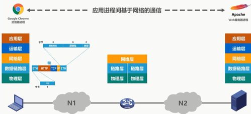 計算機(jī)網(wǎng)絡(luò)概述與其體系結(jié)構(gòu) 技術(shù)開發(fā)的基石