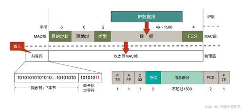 數(shù)據(jù)鏈路層 計算機網(wǎng)絡技術開發(fā)的基石與前沿