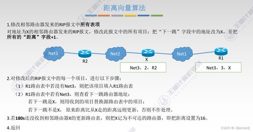 王道考研計算機網絡第四章知識點匯總 網絡層與核心技術開發